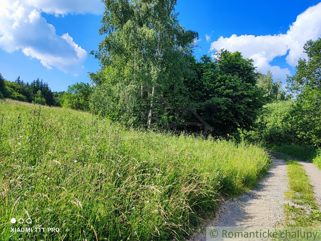Romantická chata v srdci prírody – Tajov - 17