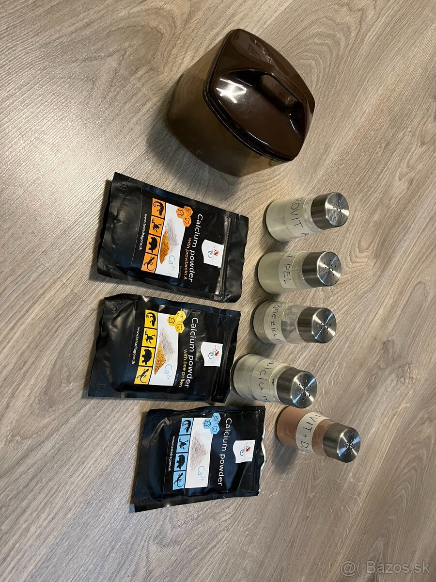 Agama bradatá + terárium - 17