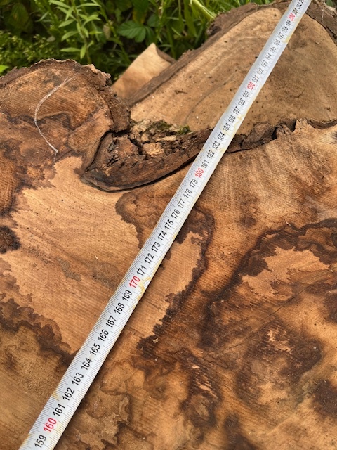 Orechové drevo - rezivo - 17