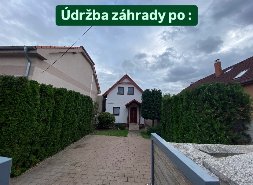 Kosenie/Strihanie/Údržba zelene/Pílenie /Drvenie - 17
