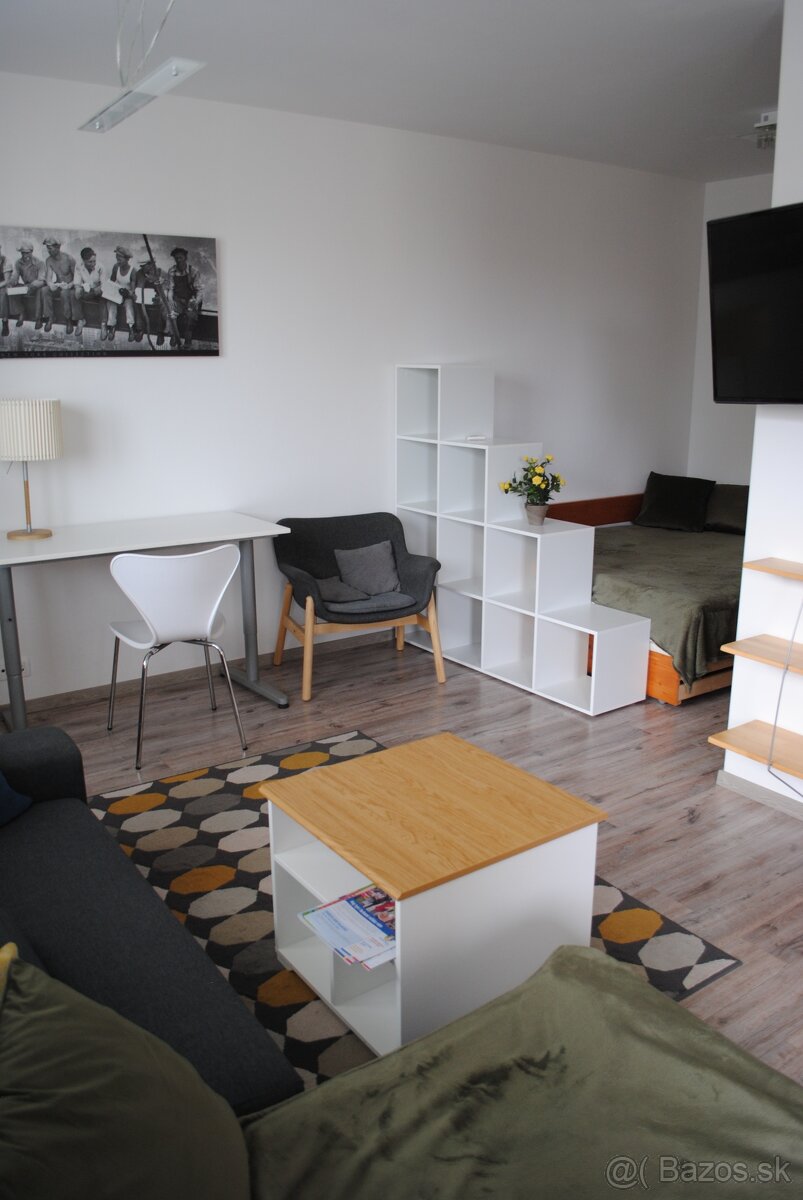 Prenajmem veľký1,5izbový slnečný byt, Bory1, nemocnica 3 min - 17