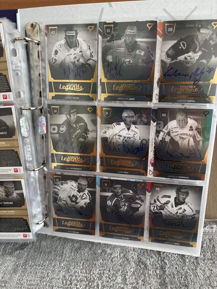 Hokejové kartičky - 17