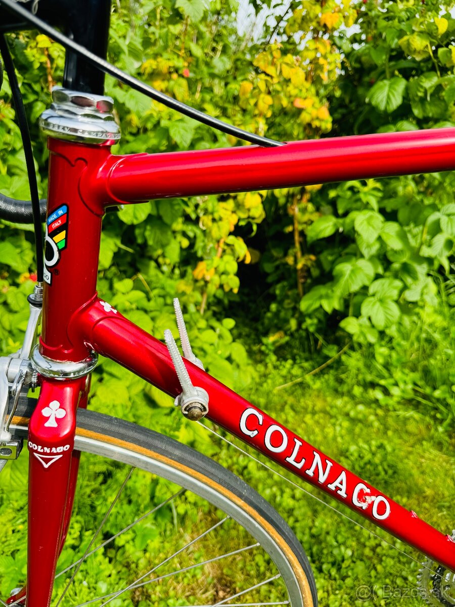 Colnago Nuovo Mexico - 17