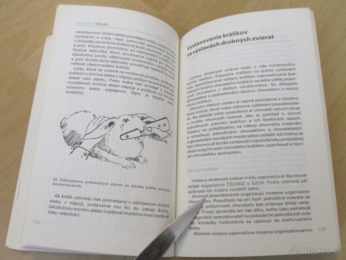 Chováme králiky - 4 - 17