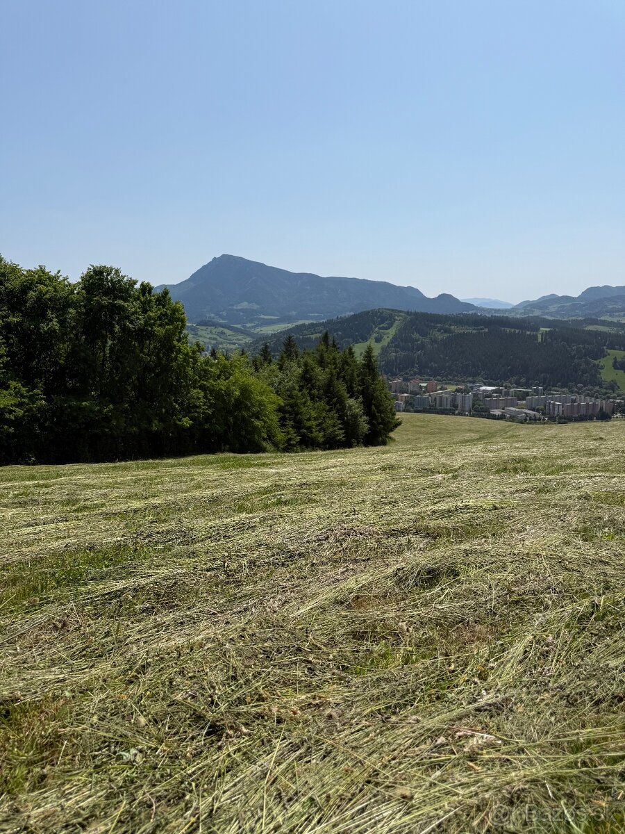 Ponúkam na predaj seno - 17