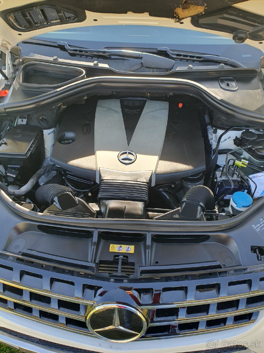 Mercedes Benz ML 350 - 17