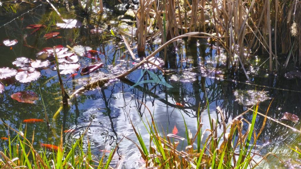 Rodinný dom na ul. Ľ. Štúra vo Veľkom Krtíši. - 17