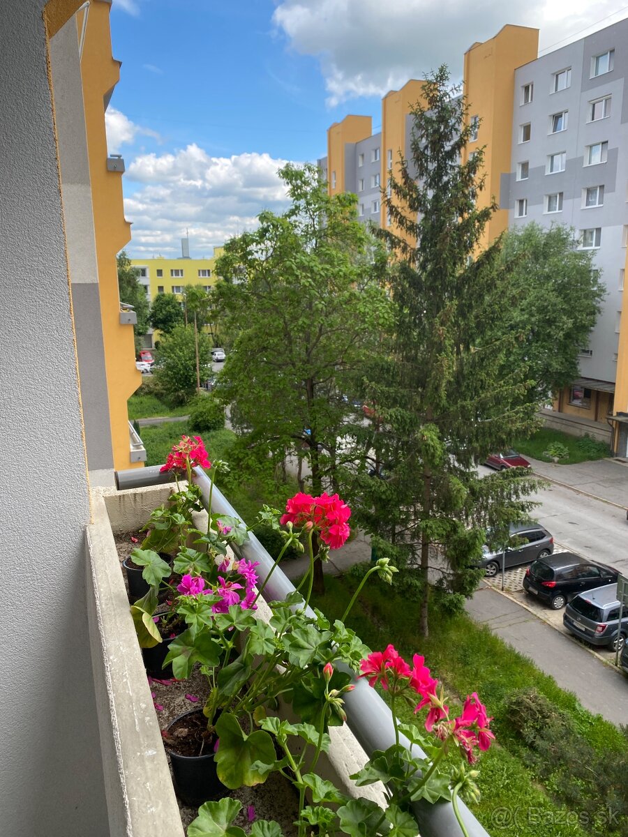 Prenájom izby s balkónom - 17