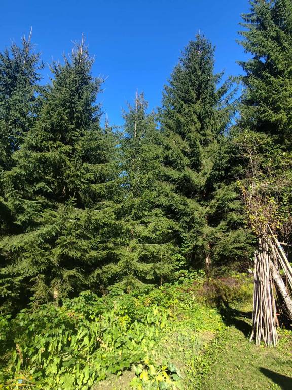 Na predaj: nádherná chalupa Klokočov (325-CH) - 17