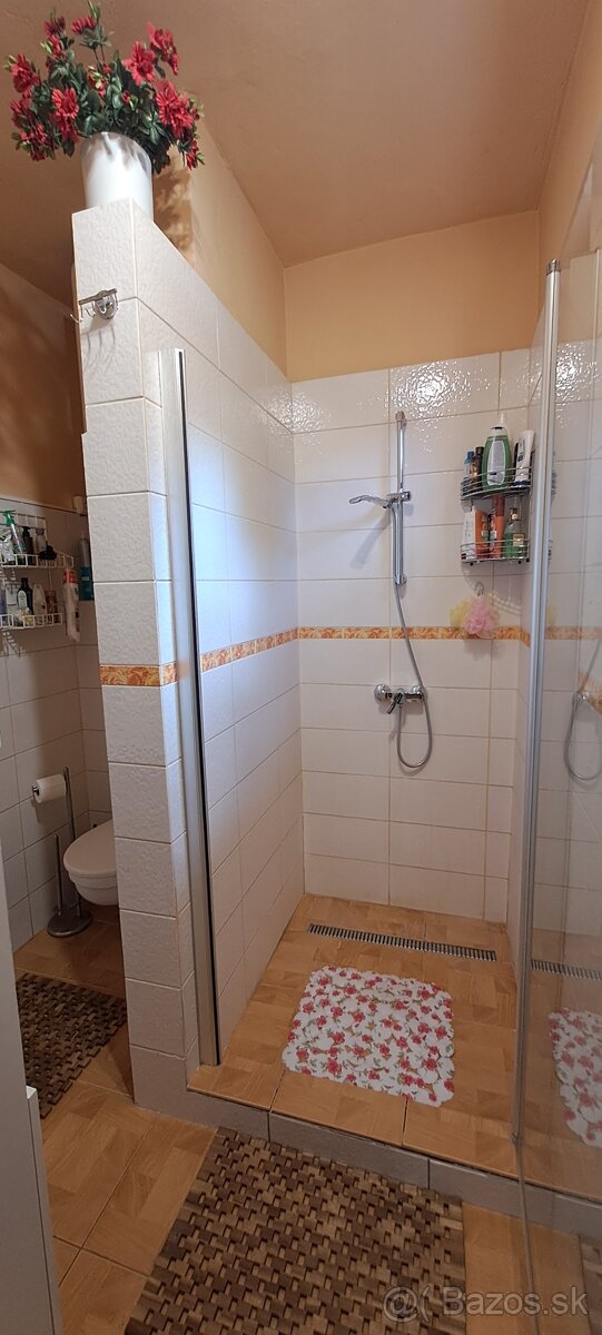 Na predaj chalupa na myjavských kopaniciach PO ZĽAVE - 17