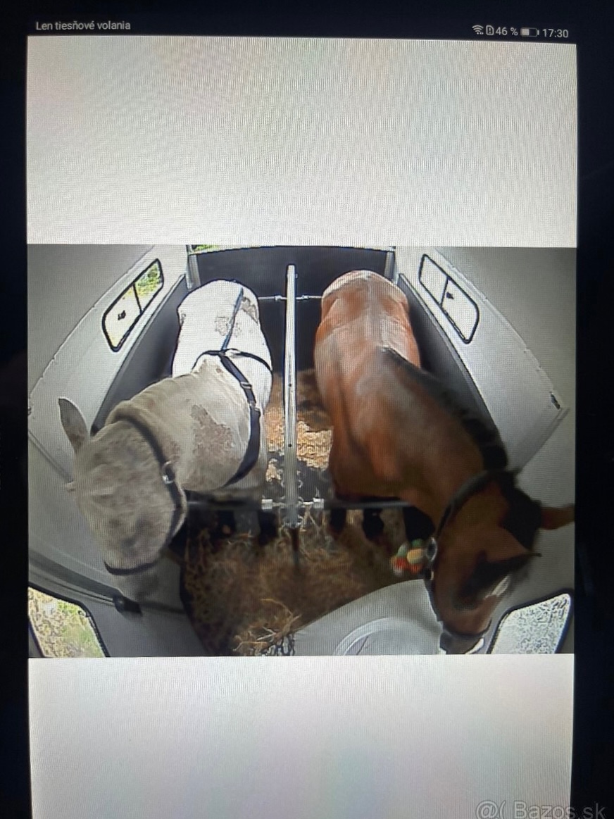 Preprava koní - K2HORSESTAXI.sk - 17