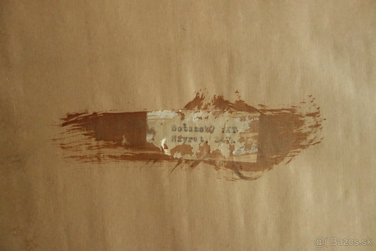 Obraz - Botanský - návrat - 17