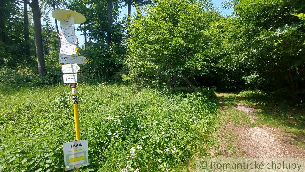 Chata na vlastnom pozemku obklopená lesmi Myjavské kopanic - 17