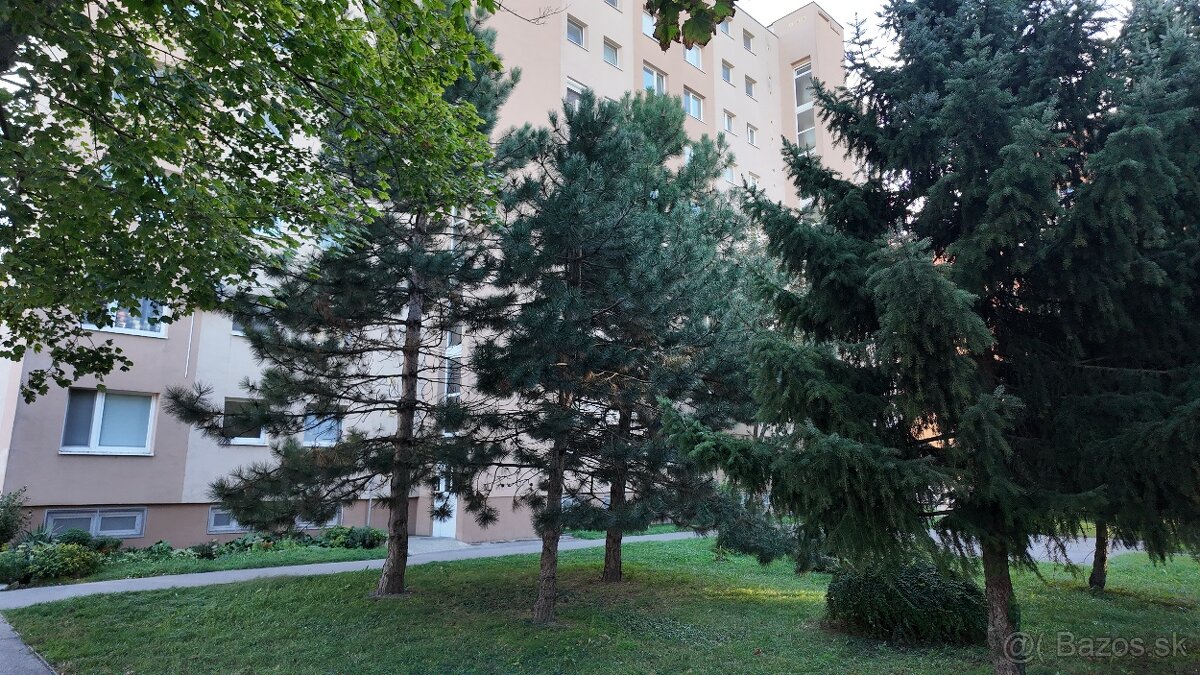 3izb byt so zariadením na Mlynskej ulici, DS - 17