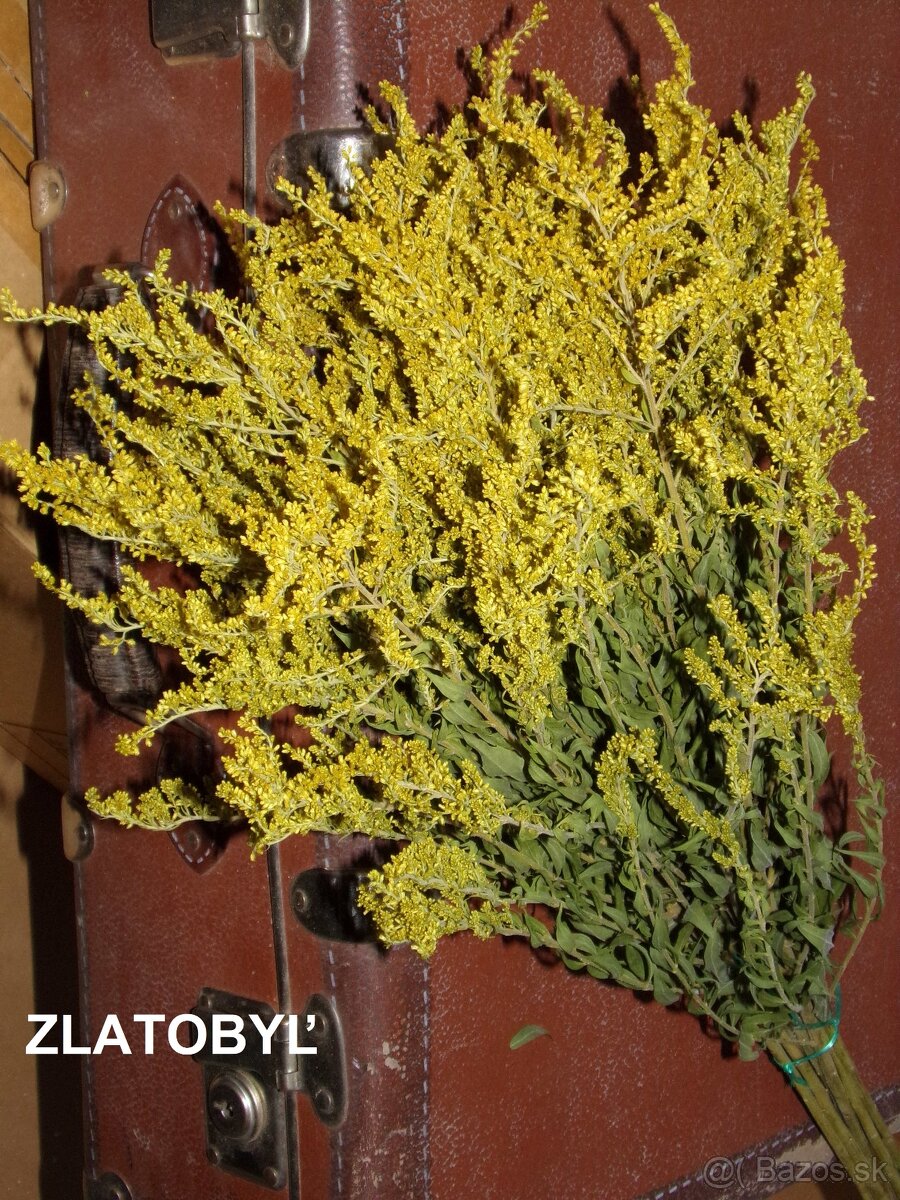 SUŠENÉ KVETY NA ĎALŠIU TVORBU - 17