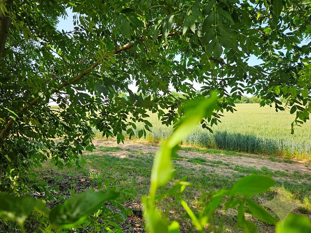 Na predaj stavebný pozemok na RD v obci Tehla, 1025 m² - 17