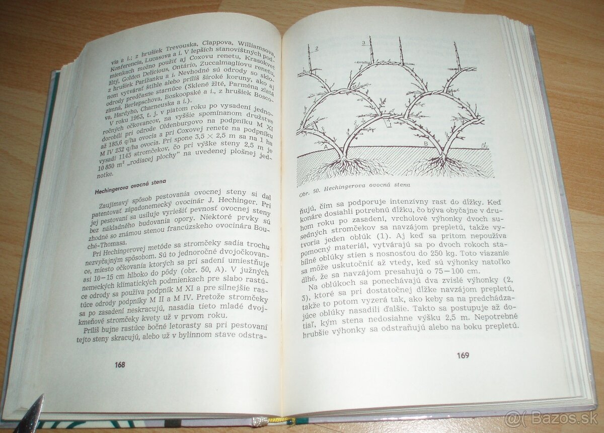Rez a tvarovanie ovocných drevín - 17