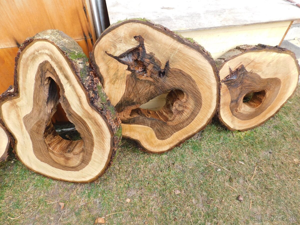 Atypické a nadrozmerné fošne a koláče, orechové drevo - 17