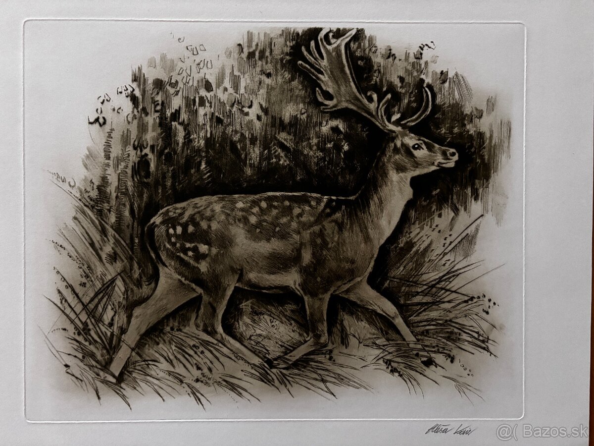 Ales Vaic - lesnicka tematiky - 17