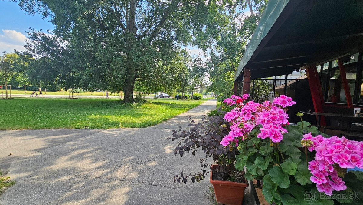 AFYREAL: 3 izbový zrekonštruovaný byt na prenájom Fedinova u - 17