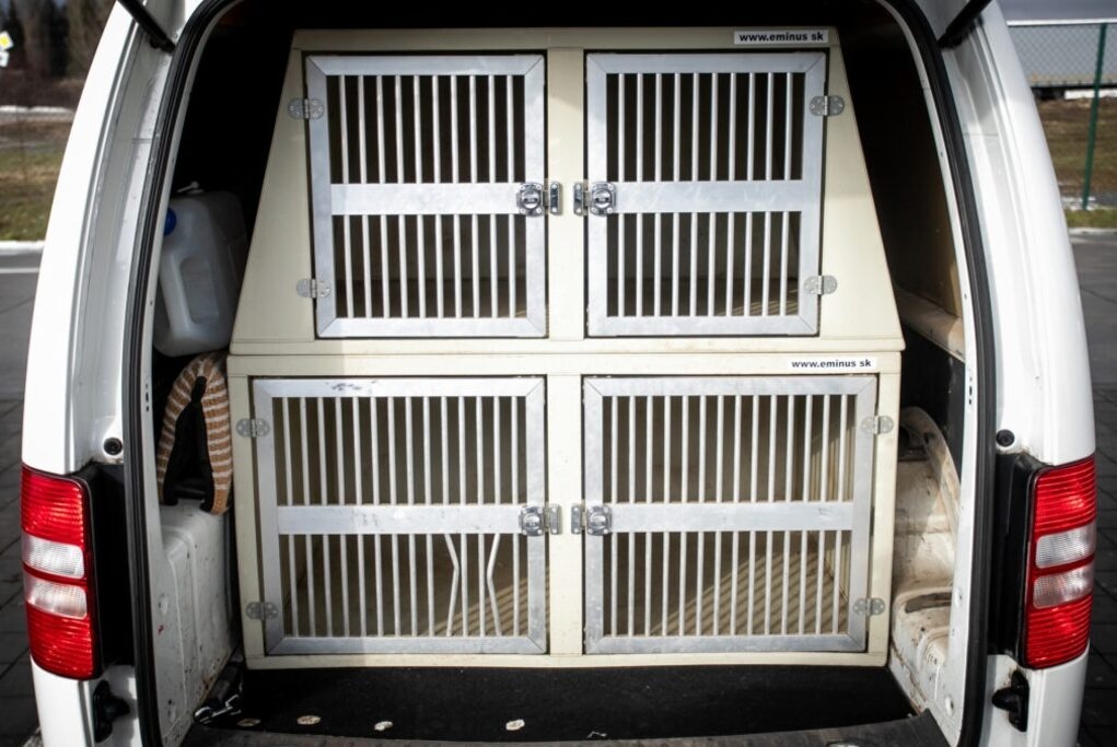 VOLKSWAGEN CADDY Maxi 1.6 TDI 75kW M5 2011 - 17