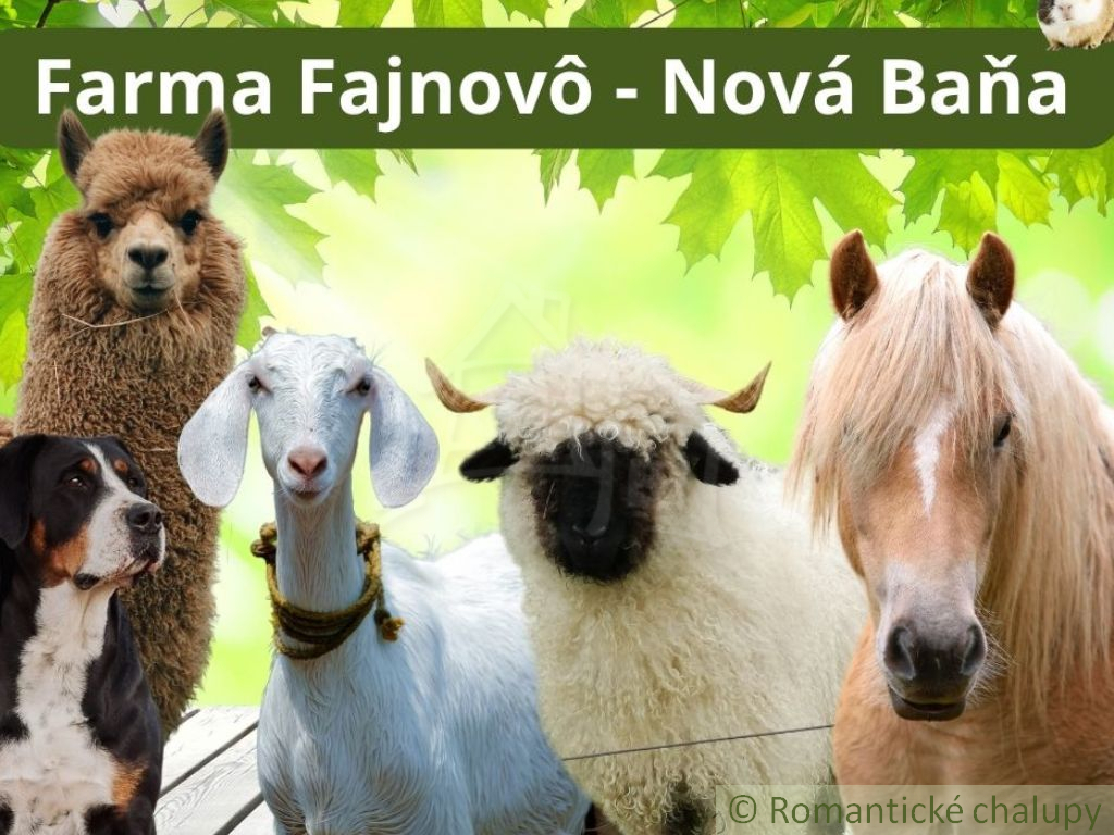 Chalupa v Brehoch pri Novej Bani - 17