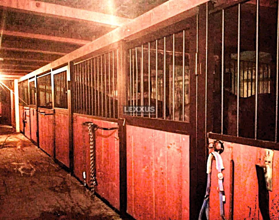 | exkluzívna vidiecka rodinná usadlosť, Lučenec. - 17