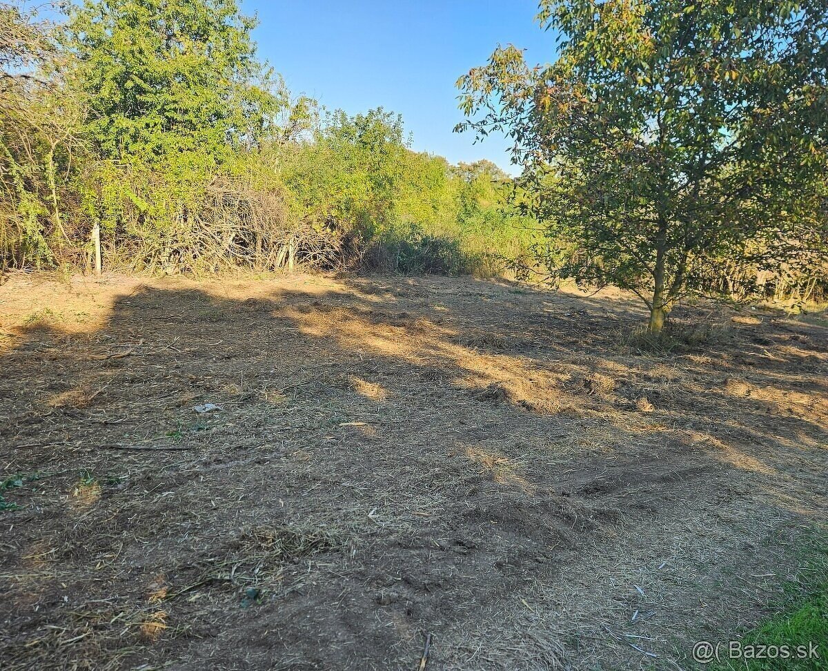 Čistenie pozemkov od naletovych drevín lesná fréza - 17