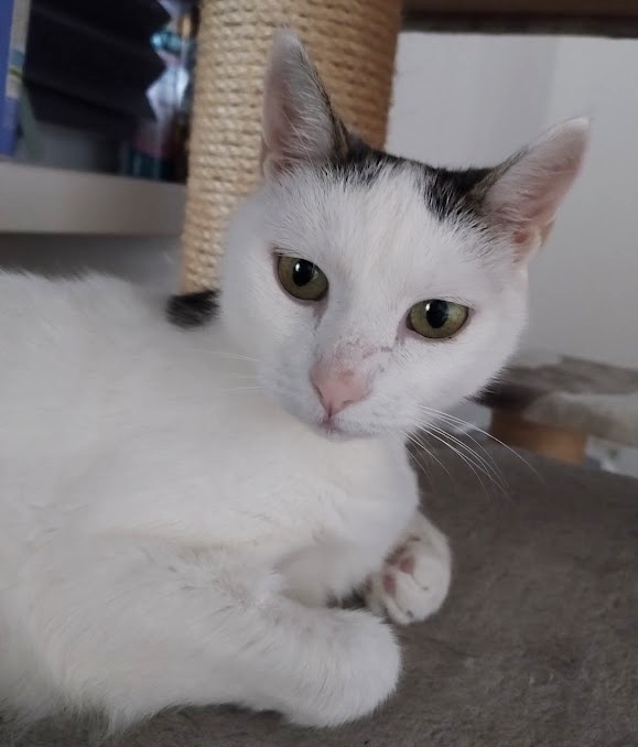 stelesnenie pokoja - 17