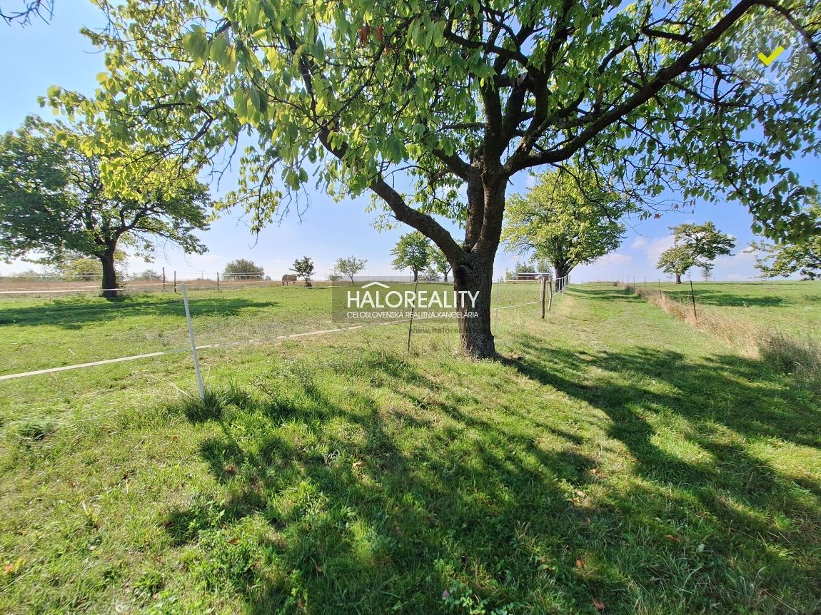 HALO reality - Predaj, rodinný dom Borová, 9.125m2 - EXKLUZÍ - 17