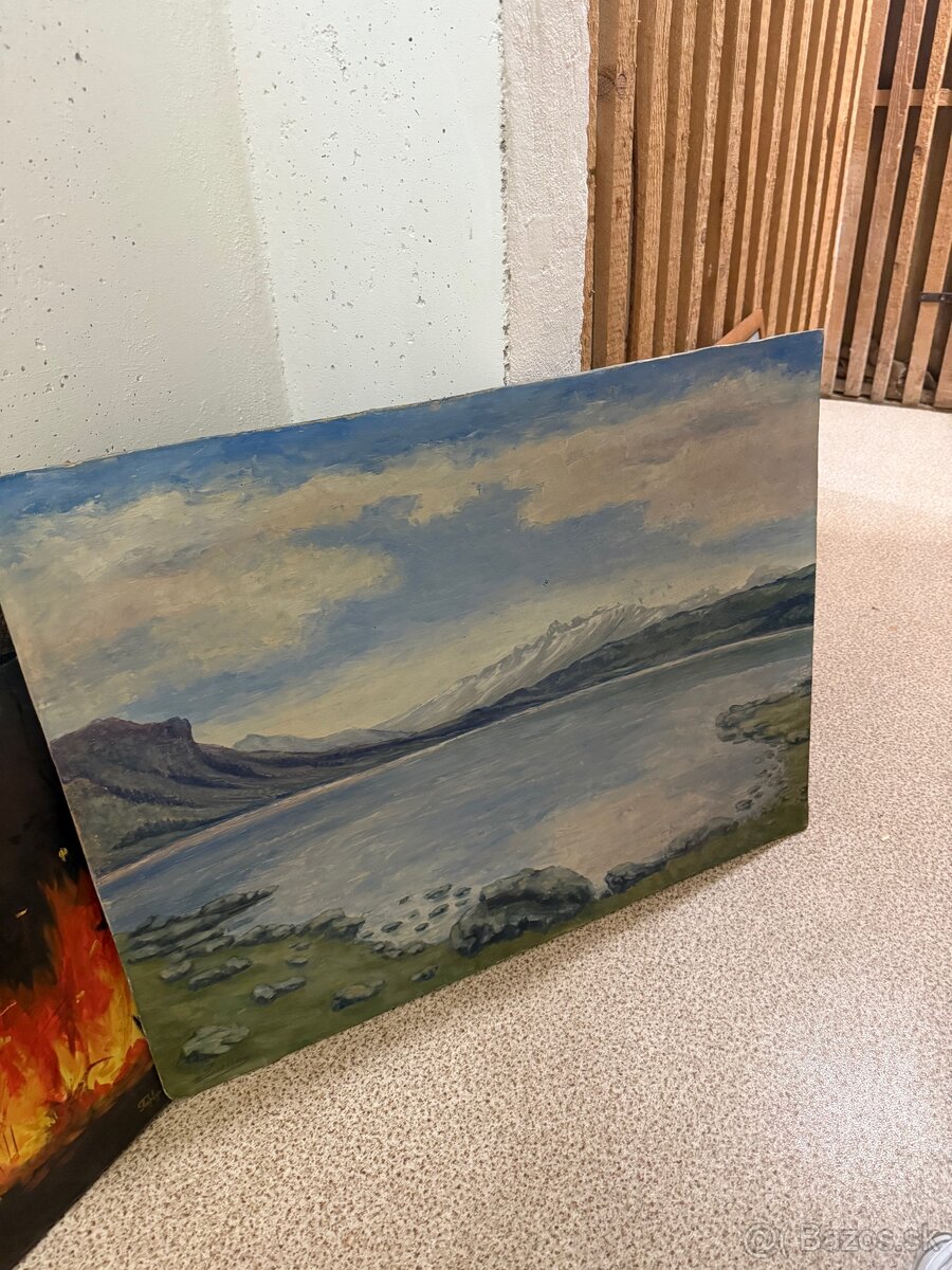 Obrazy na predaj - 17