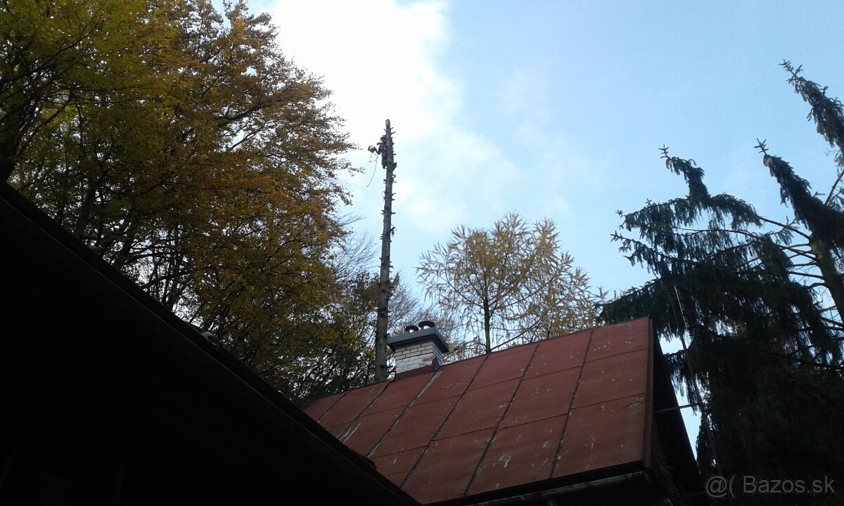 Rizikový výrub, pílenie - 17