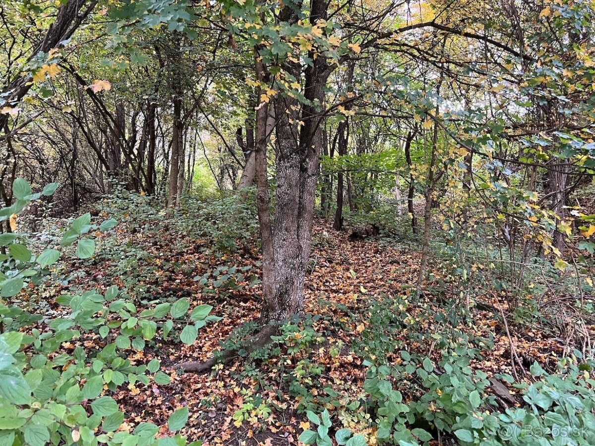 Handlová - 2.840 m2 pozemok na projekt - VÝSTAVBA DOMOV - 17