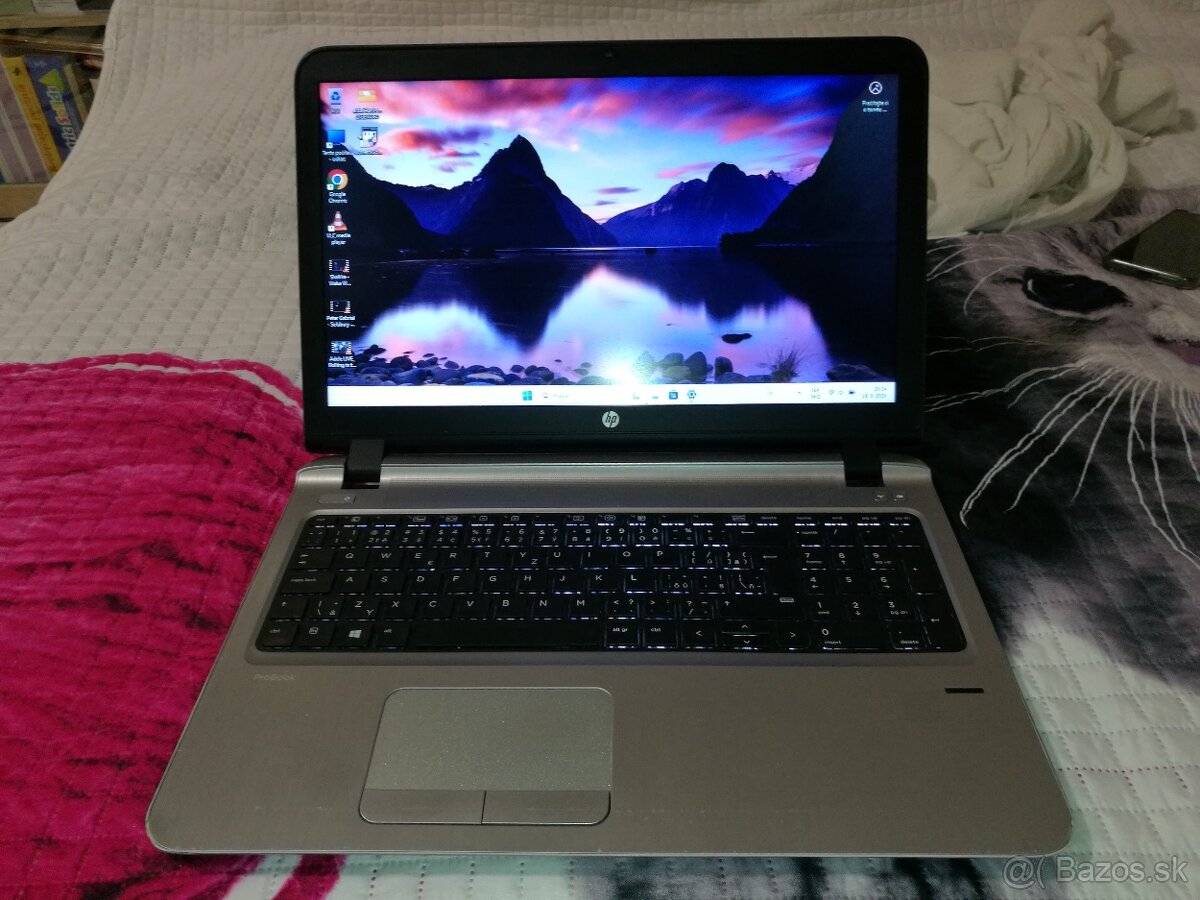 HP ProBook. i5. 15,6". RAM 8 GB. SSD 256 GB + 1 000 GB. - 17