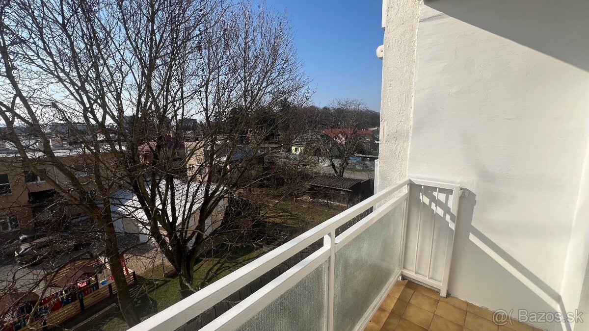 3 Izbovy byt Holleho 57 - 17