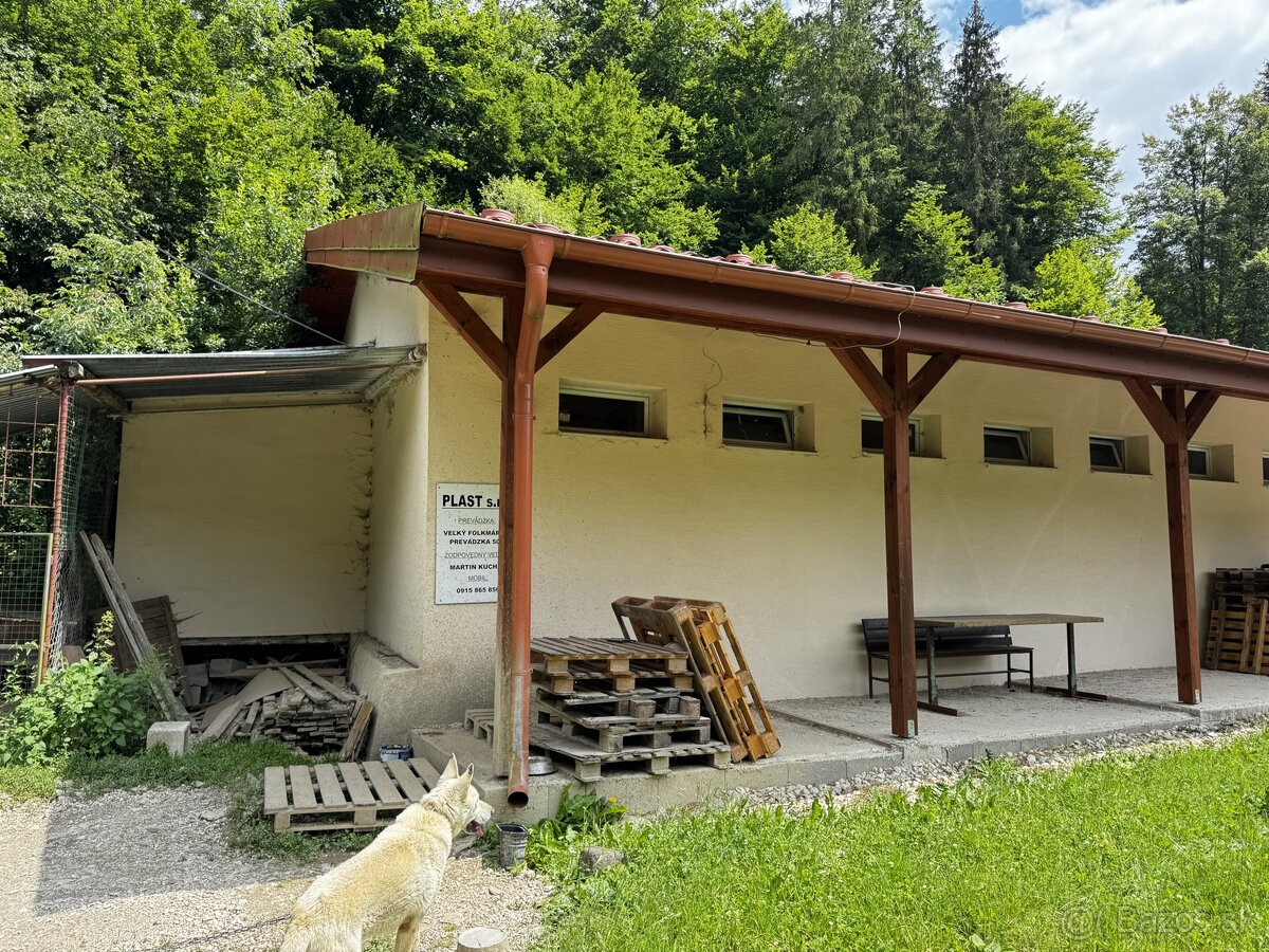 Obchodné priestory, výrobné haly - 17