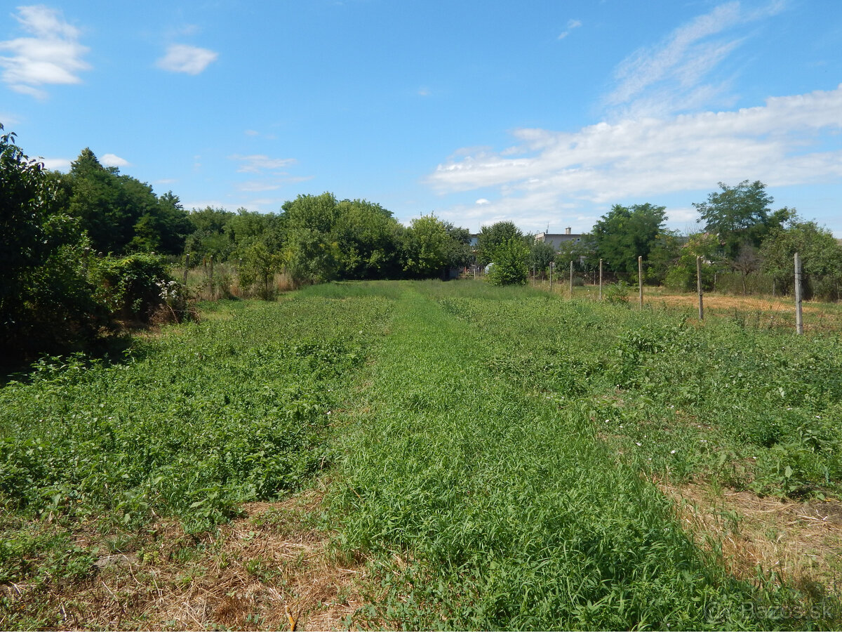 Na predaj 4 izbový dom vhodný aj ako chalupa v Malých Kosihá - 17