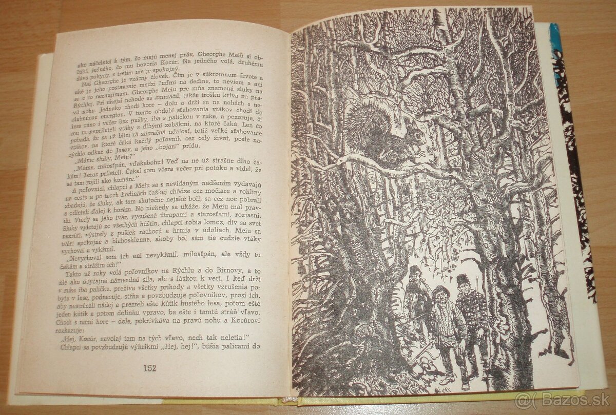 Srny svätého Antona - 17