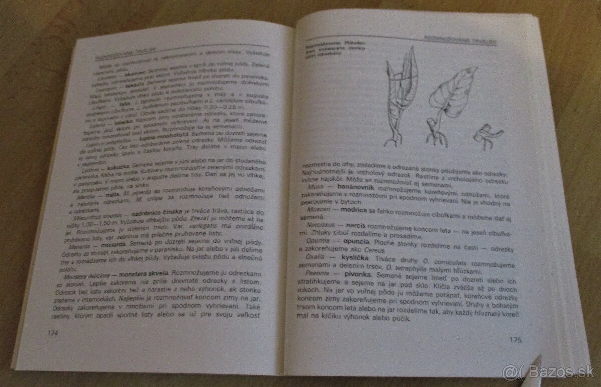 Vrúbľovanie, očkovanie, rozmnožovanie - 17