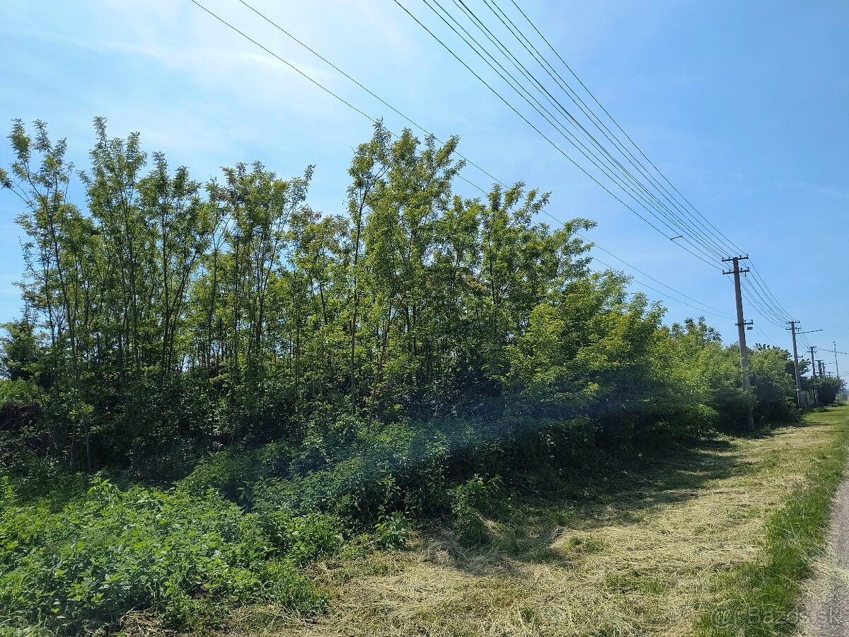 Rodinný dom v obci Čata - 17