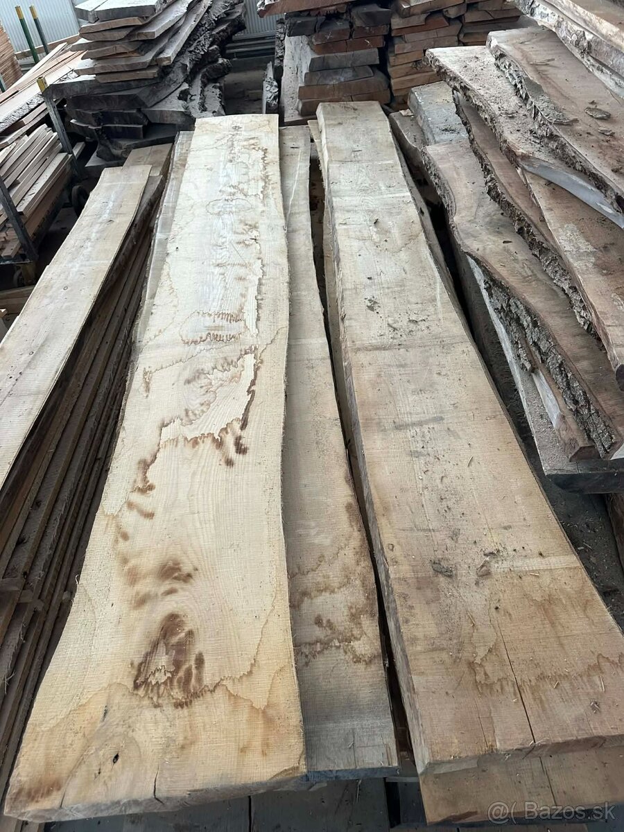 Vysušené javorové fošne, javor horský - 17