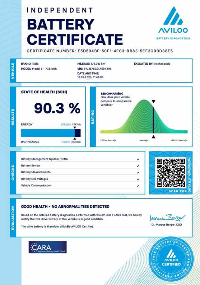 Tesla Model 3 2019 Performance 366 kW - 17