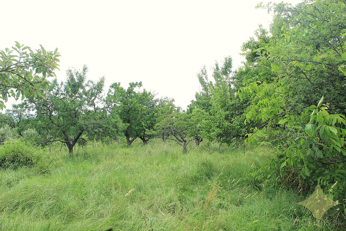 Priestranná chalupa na rekonštrukciu s vyše 30-árovým pozemk - 17
