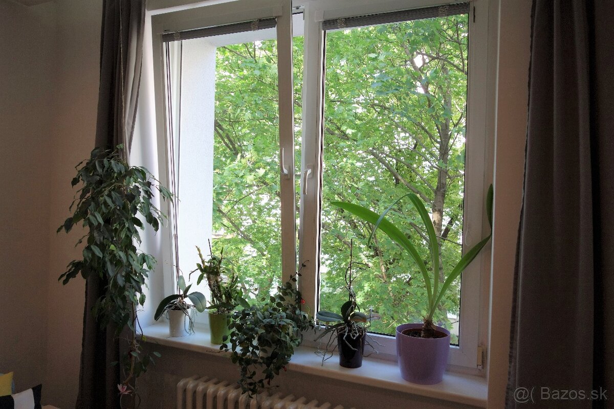 Prenájom 2 izbového bytu Nivy - 17