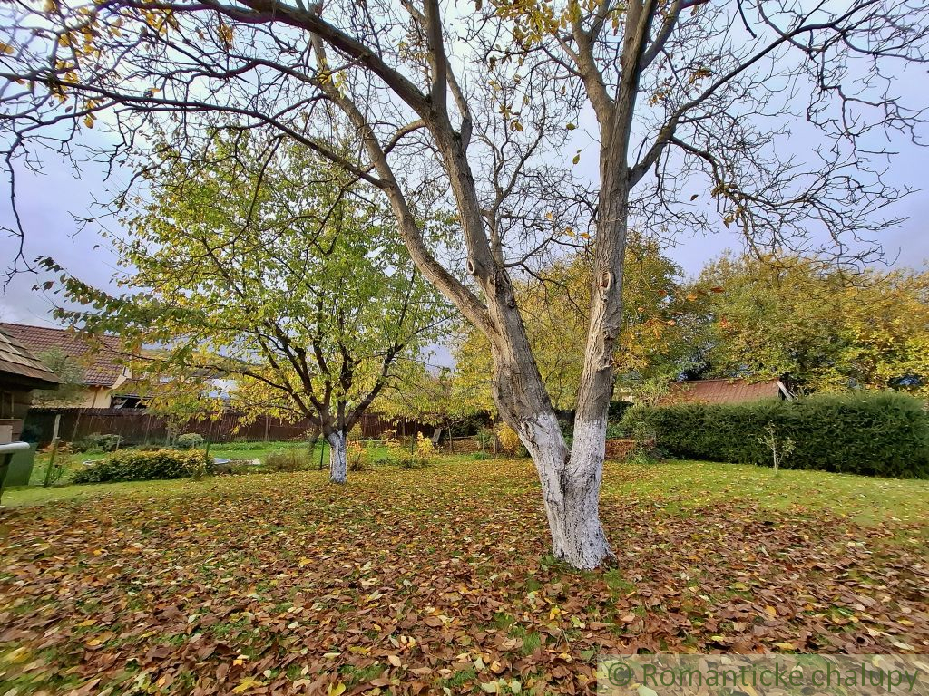 Romantická chalúpka v obci Divín - 17