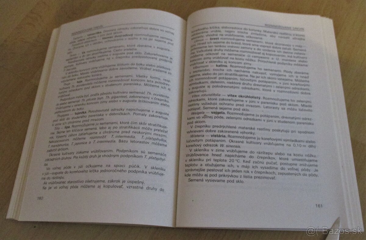 Vrúbľovanie, očkovanie, rozmnožovanie - 17