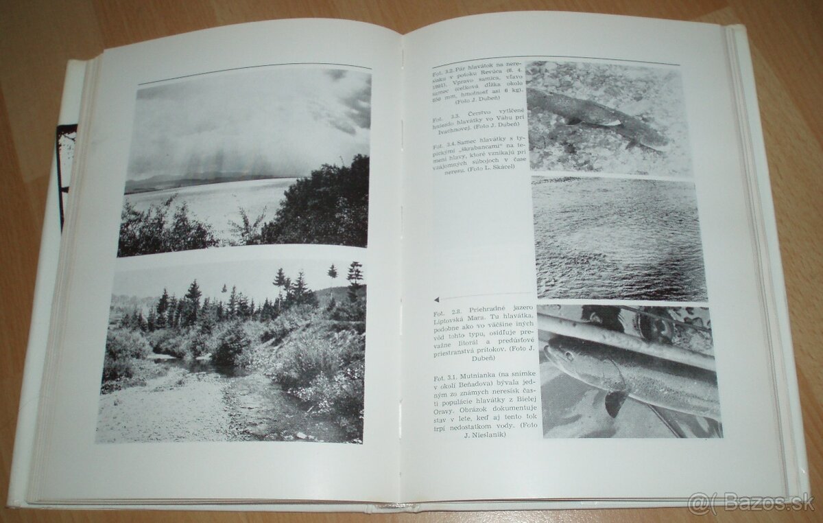 Hlavátka - 17