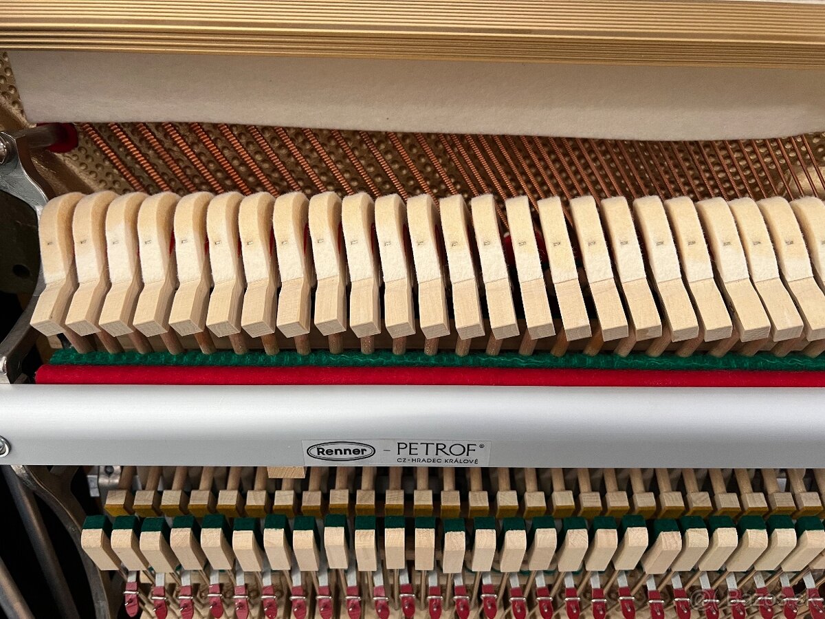 Petrof P125 v záruce, doprava je možná - 17