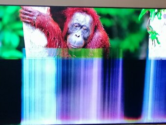 Predám Samsung Qled 4k UHD smart Tv QE55Q7FNAT. - 17