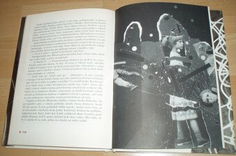Poľovnícke tragédie - 17